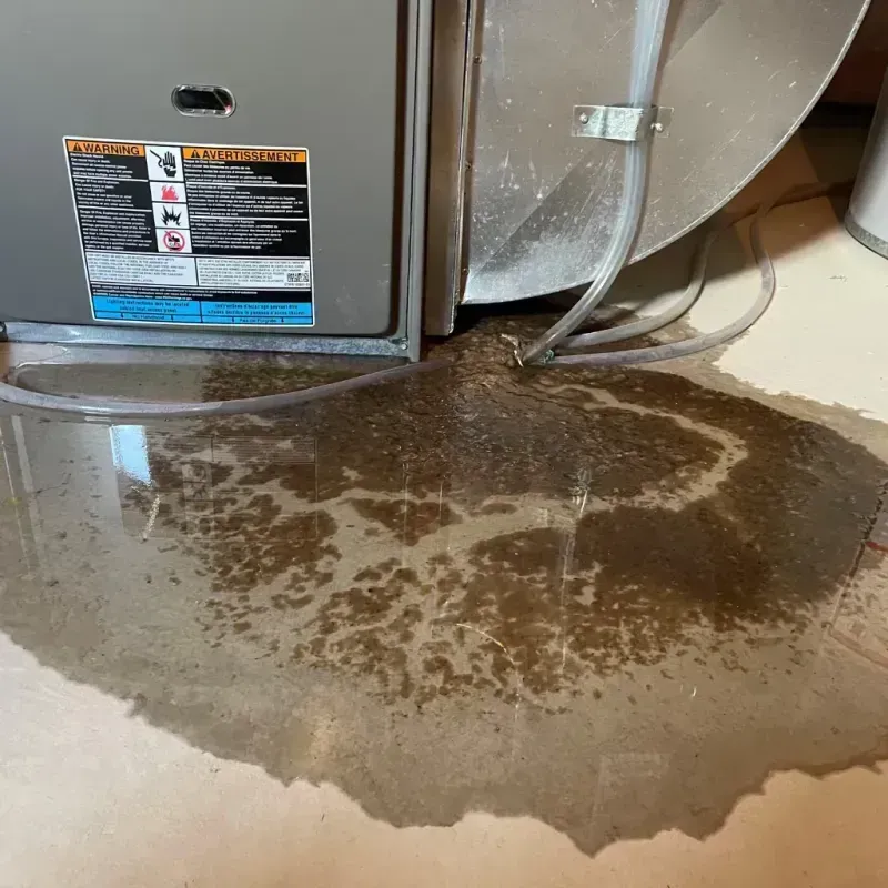 Appliance Leak Cleanup in North Bethesda, MD